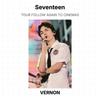 Seventeen СЛЕДУЙТЕ ЗА ТУРОМ СНОВА В КИНО Official Photocard