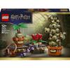 Конструктор LEGO Harry Potter 76474 Растения с урока травознания в Хогвартсе