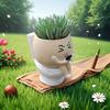 Cartoon Succulent Flowerpot Resin Plant Cultivation Pot Plant Growing Container  Succulent Planting