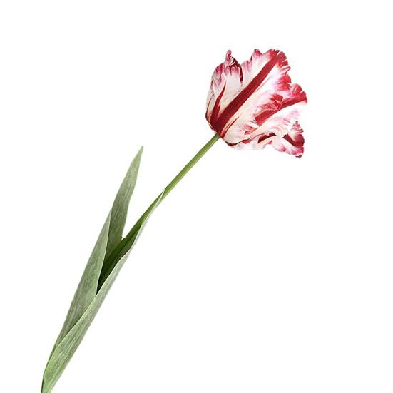 Искусственный тюльпан Реалистичный искусственный цветок с листьями Не требует ухода Искусственный тюльпан для домашнего декора Свадебная вечеринка Настольное украшение