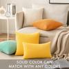 Modern Corduroy Throw Pillow Cover, Nordic Solid Velvet Cushion Case, Soft Plush Sofa Decorative Pillowcase 45x45cm