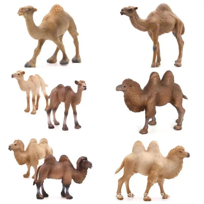 Реалистичная модель верблюда Solid Dromedary Bactrian Статическая игрушка Украшение Домашний декор