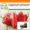 Garden In the Bag - Organic - Sweet Pepper - Long Red Marconi - 20 Seeds - With Substrate In a Fitting Stand Up Bag - Capsicum Annuum