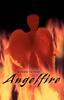 Книга Angelfire