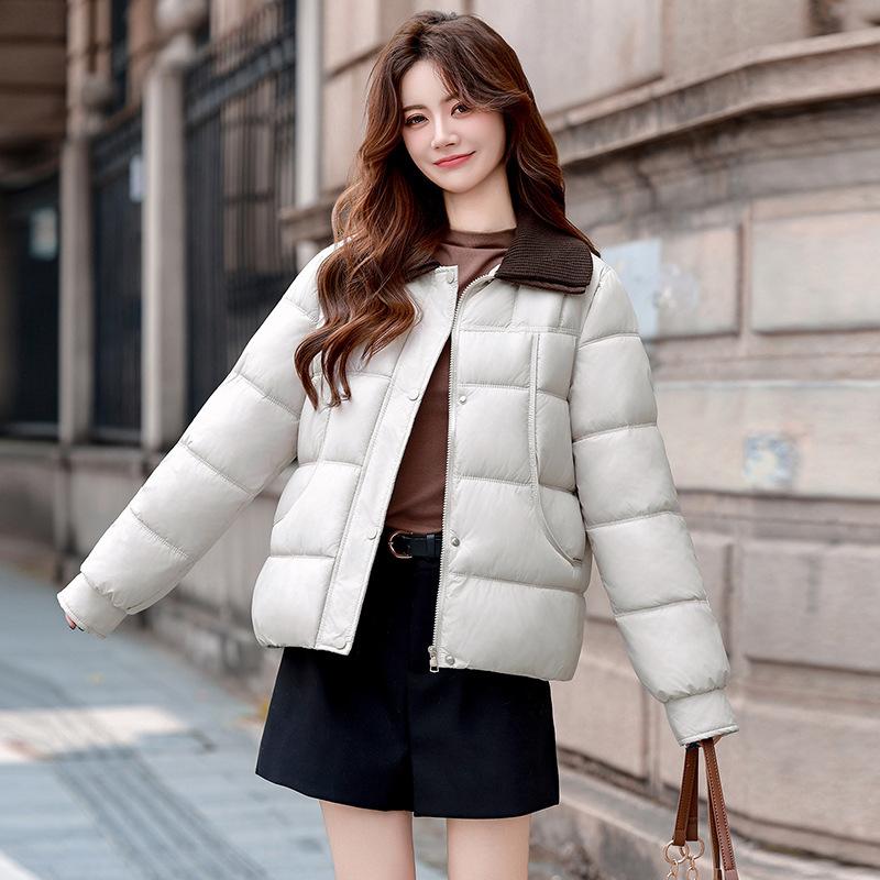 [One piece] Versatile small winter feather clothes women's fashion lapel thickened cotton-padded jacket