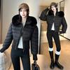 Cotton-padded Jacket Winter New Fashion Design Waist Hooded Down Padded Jacket for Small Women