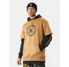 Толстовка DC Shoes Dryden