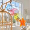 Transparent Acrylic Foraging Toy Multilayer Creative Parrot Feeder Treat Foraging Toy  For Birds