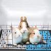 12 лотов Нескользящие Защитные Коврики Кроличья Лапка для Питомцев, Таких Как Кролики, для Предотвращения Несчастных Случаев Во Время Игр и Активности
