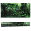 PVC Reptile Box Rainforest Background Poster Fish Tank Wall Picture Painting Decoration Self Adhesive Sticker(122*46cm )