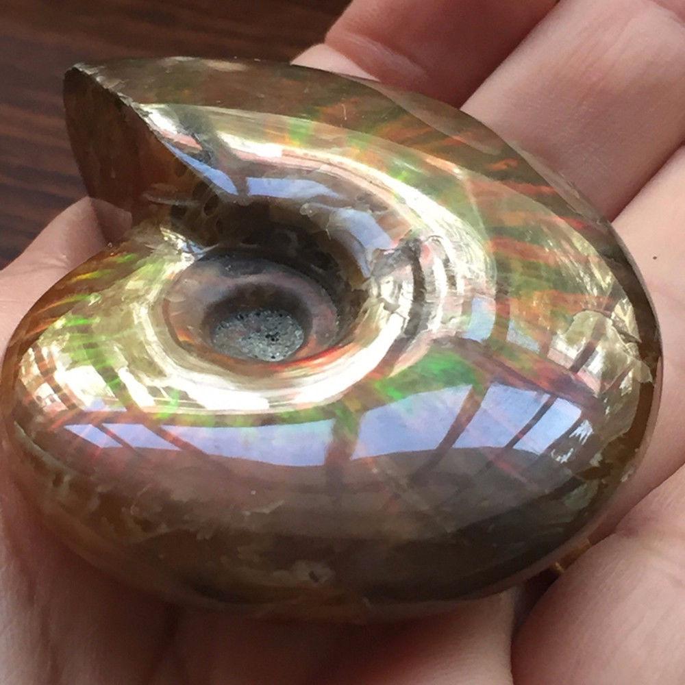 Gemstone Crystal Specimen Fossil Ammolite Facet Natural Iridescent Ammonite Madagascar Stone