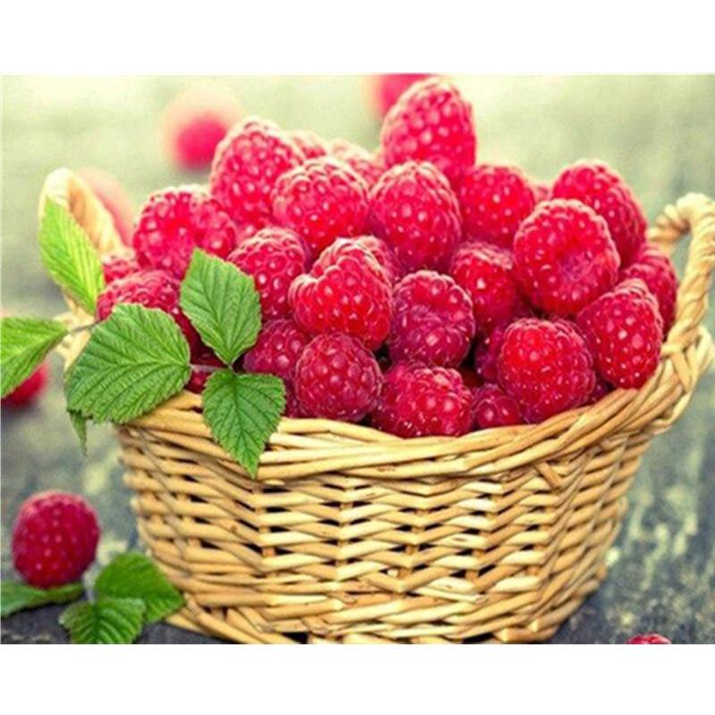 5D DIY Алмазная картина Фрукты и вино Алмазная мозаика Алмазная вышивка Полный набор Наборы для вышивки крестом Домашний декор Подарки