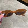 Retro Oval Sunglasses for Women, Fashionable and Personalized Small Frame, Minimalist Sunglasses, Versatile Sunglasses
