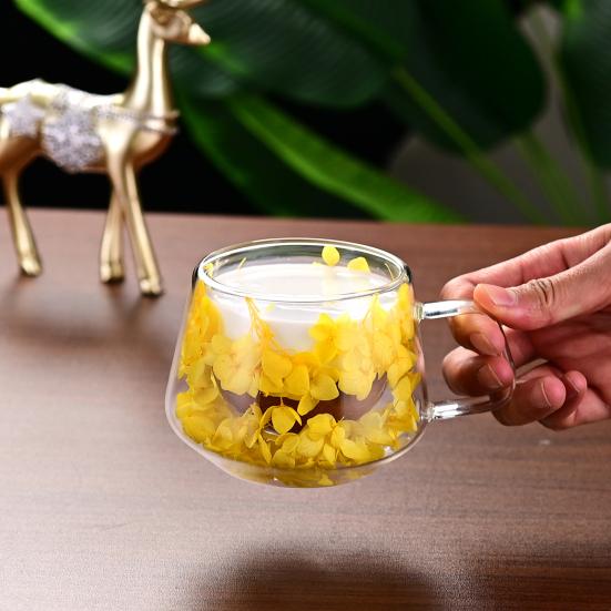 200ML Clear Glass Mug Double Wall Insulated Cup with Handle Aesthetic Dehydrated Flower Design Heat Preserving Tumbler for Coffee Tea