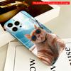 Sunglass Cat on Sailboat Sky Background All inclusive film hard phone case, compatible with iPhone 18 Pro Max 17 16 15 14 13 12 11