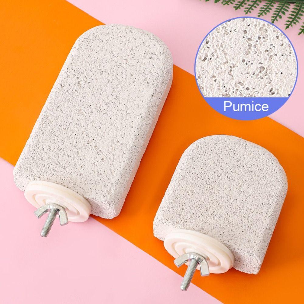 Pumice Bird Perch Stand Claw Grinding Bird Resting Platform Sturdy Parrot Stand Board Lovebirds