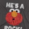 Sesame Street Unisex Adult HeÂ´s A Rock Long-Sleeved T-Shirt