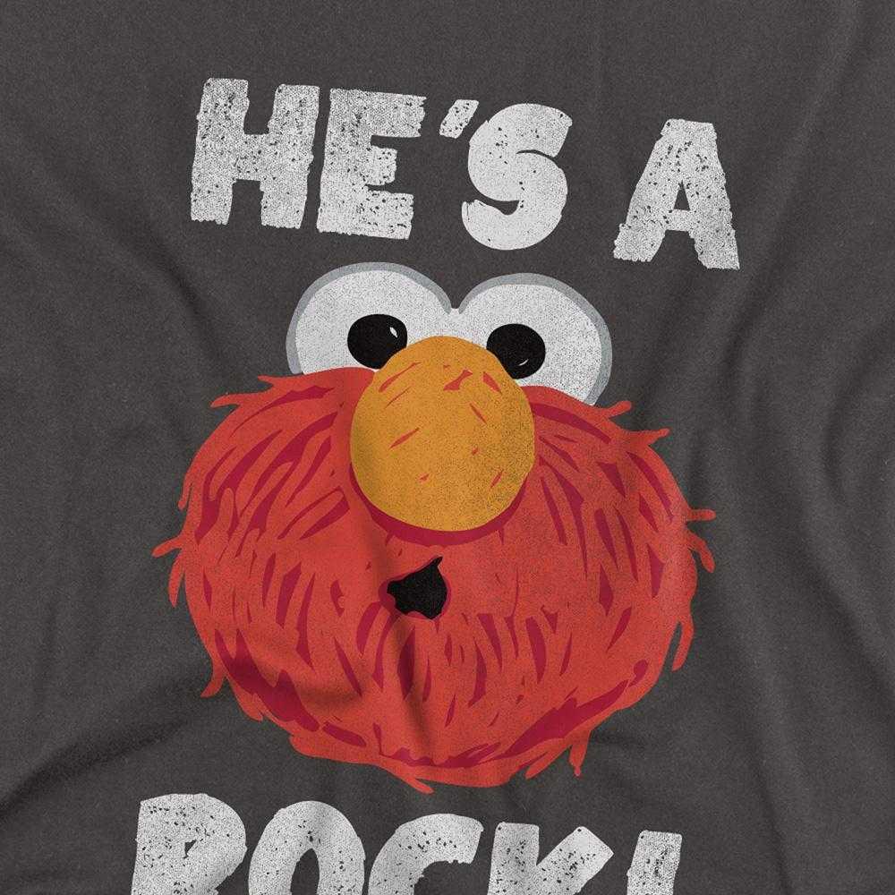 Sesame Street Unisex Adult HeÂ´s A Rock Long-Sleeved T-Shirt