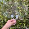 5Pcs Plastics Transparent Blank Fan Children Diy Stage Performance Hand Fan Decor For Diy Craft Make Hand Graffiti Fan