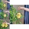 Adorable 12cm Plush Chicken Keychain Playful Cuddly Toy Perfect For Car Keys And Accessories