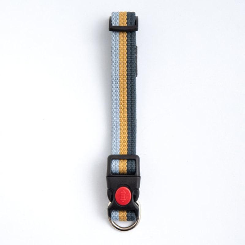[Pet] Трехцветный поводок 2 см