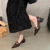 Fashion Sexy Pointed Toe Women's Pumps 2024 Autumn Fashion Elgant Lady Square Heel Footwear Street Style Mary Janes Shoes Zapatos Mujer