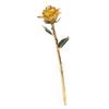 Preserved Rose 24K Gold Plated Bright Luster Rich Details Naturally Gold Dipped Rose with Holder