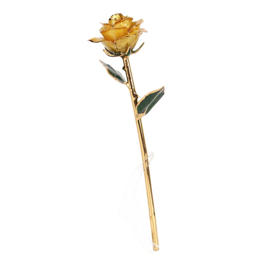 Preserved Rose 24K Gold Plated Bright Luster Rich Details Naturally Gold Dipped Rose with Holder