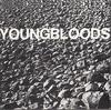 CD YOUNGBLOODS - Рок-фестиваль  LECD901012O Linea Records 1990 Германия Рок Б/У