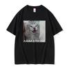 Cute Funny Stressed Cat Meme Tshirt Summer Men Women's Casual Loose Oversized T-shirts Women's Short Sleeve T Shirts