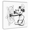 Disney Poster Mickey Mouse 30cm X 30cm Made In Japan Dsn-0143