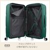 Чемодан-переноска INSTAGON Spinner Expandable TSA 69 см Sage Green [American Tourister] 69/25 79/87 л 3,9 кг
