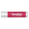 Vaseline Rose Bud Lip Balm Duo & Body Lotion Set
