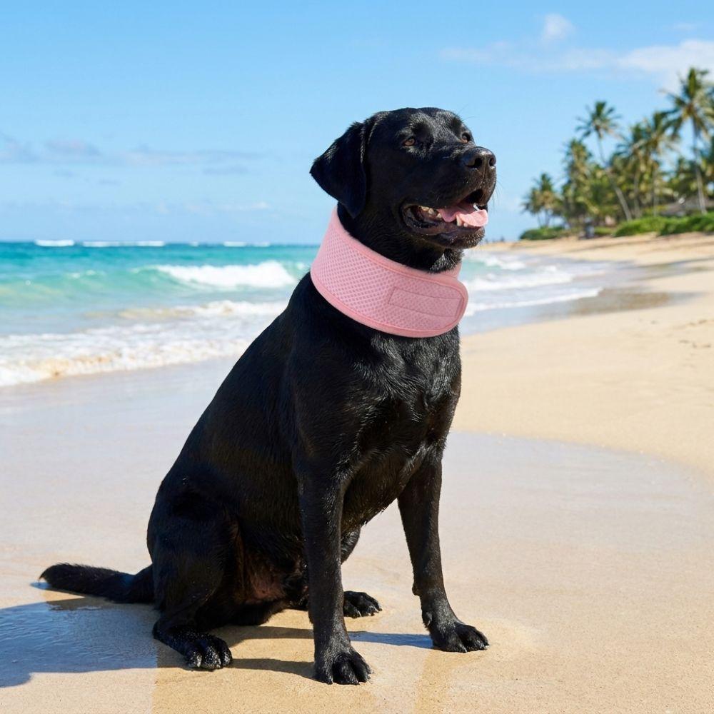 Tape Closure Dog Cooling Scarf Water Activated Dog Heatstroke Prevention Scarf Summer Outdoor