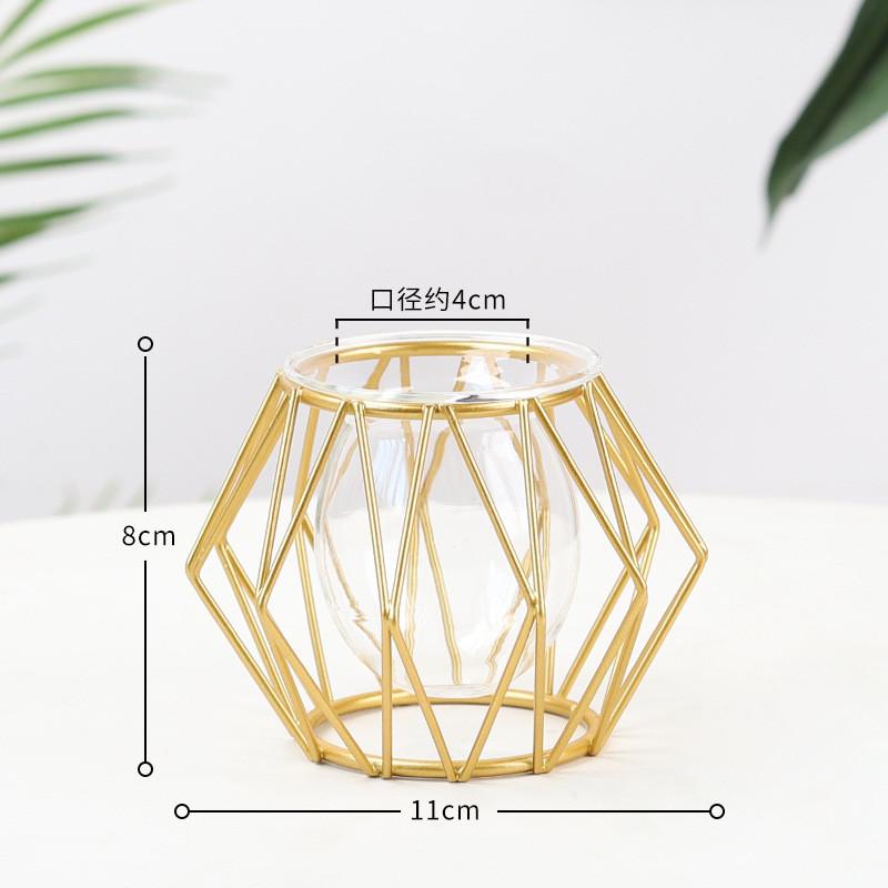 Nordic Golden Iron Line Vase Hydroponic Plant Flower Vase Geometric Art Decor Metal Plant Holder Garden Modern Home Decoration