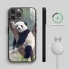 C-Cute Panda   Phone Case For iPhone17,16,15,14,13,12,11 Plus,Pro Max Magnetic For Magsafe Wireless Charging