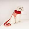 Dog Boutique Dog Frill Harness Leash Set Chest Strap Walking Supplies, Red