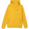 Puma Solid Color Pullover Hoodie Long Sleeve Sweatshirt Men Sweatshirts Yellow 678340-55