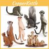 Realistic Mongoose Pvc Animal Model Toy For Kids Learning Decorations Gifts