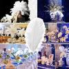 10Pcs Natural Ostrich Feathers Dream Centerpieces Home Crafts DIY Projects Catcher Office Wedding Party