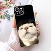 Transparent For iPhone 13 Case Cover Cute Cat Fashion Butterfly Funny Painted Casing A2633 A2482 A2631 A2634 A2635