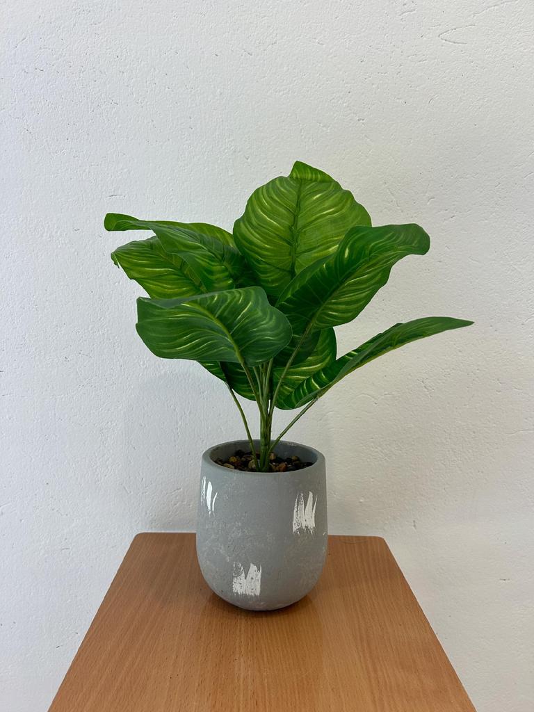 Artificial Plant Flower In A Pot For Home Office Realistic 37Cm Calatea