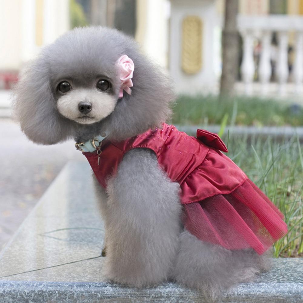 Бантик Свадебная вечеринка Цветочный принт на весну Юбка для собак Платье принцессы для собак Платье для кошек Одежда для домашних животных