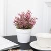 Evergreen False Plant Pot Fake Flower Simulation Flower Pot Mini Small Potted Plants  Home