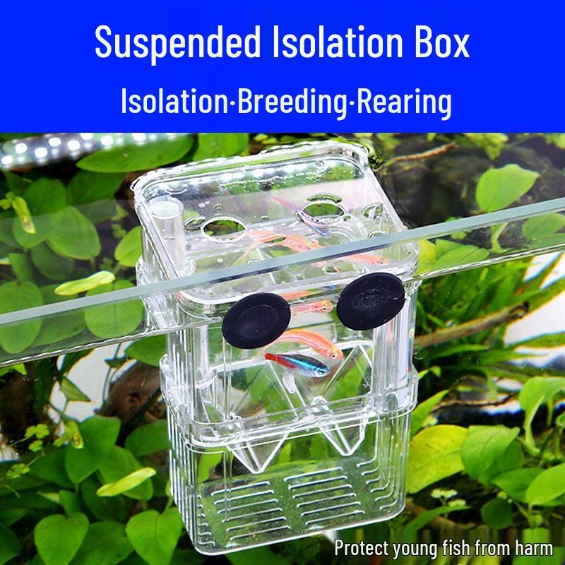 Акриловый нерестовик и изолятор для мальков петушков для нереста тропических рыб