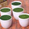 Fake Flowers Balcony Wedding Party Bonsai Ornament Flower Arrangement Device Flower Pot Vase
