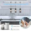 WB5 WiFi 5 IN 1 LED Controller Tuya APP Alexa Google Home Voice Control RGB RGBW CCT Led Strip Dimmer Bluetooth APP RF Remote
