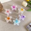 6cm Acrylic Gradient Frangipani Hair Clip Women Korean Sweet Shark Clip Hair Accessories