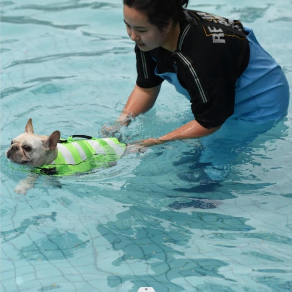 Adjustable Safety Vests Reflective Swimwear Safety Vest Dog Life Jacket for Small Medium Dogs
