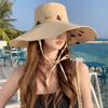 Двусторонняя шляпа от солнца с широкими полями, милая кепка для защиты от солнца, солнцезащитная кепка для пляжа, для девочек